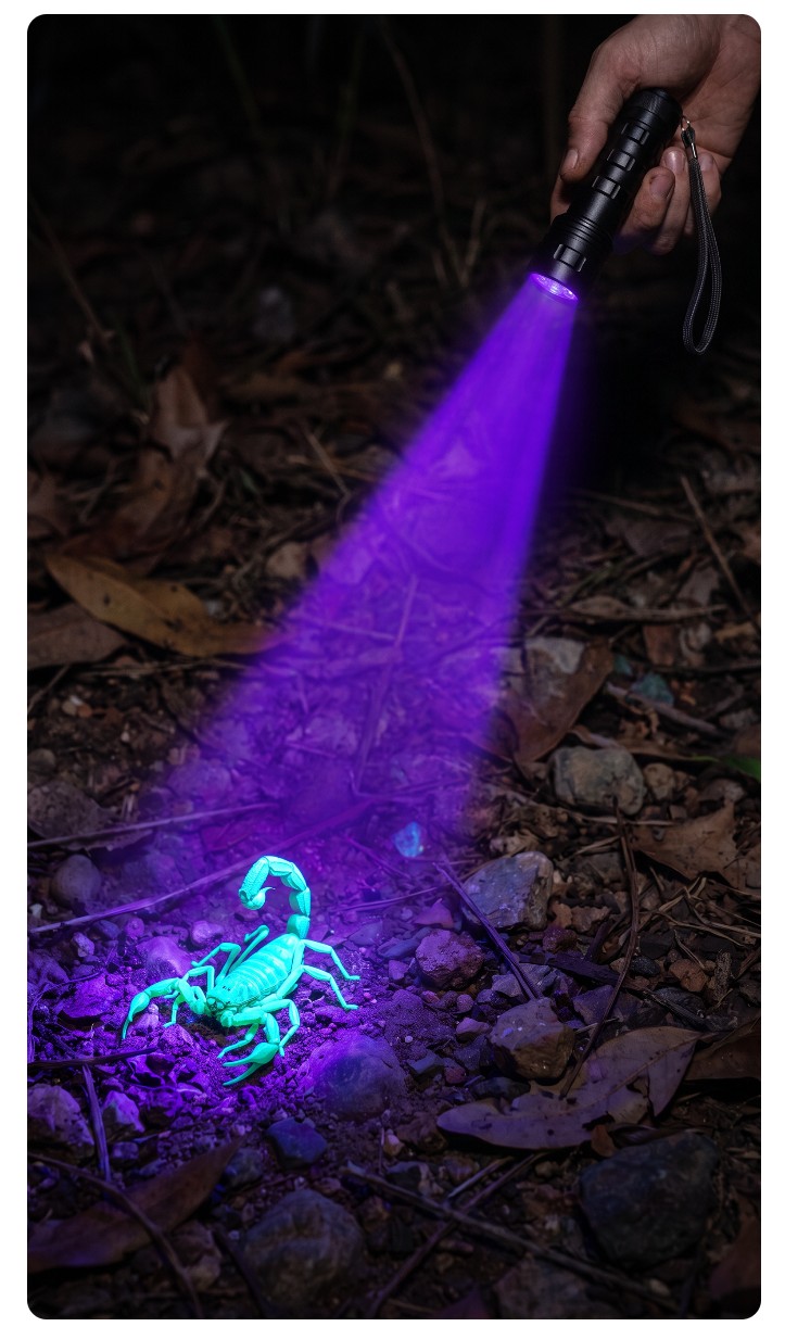 14 LED BLack Light